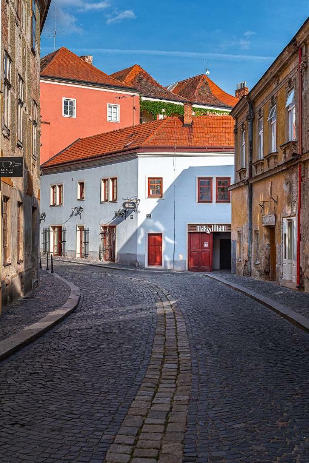 Penzion Maxwilliam Znojmo Εξωτερικό φωτογραφία